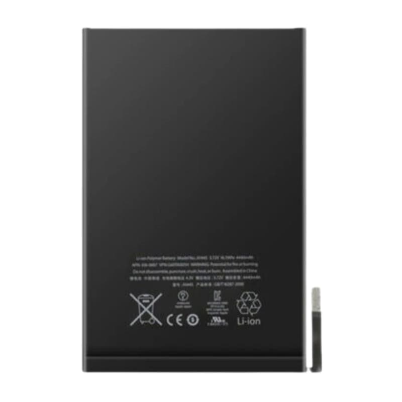 iPad 11 " ( 2025 )