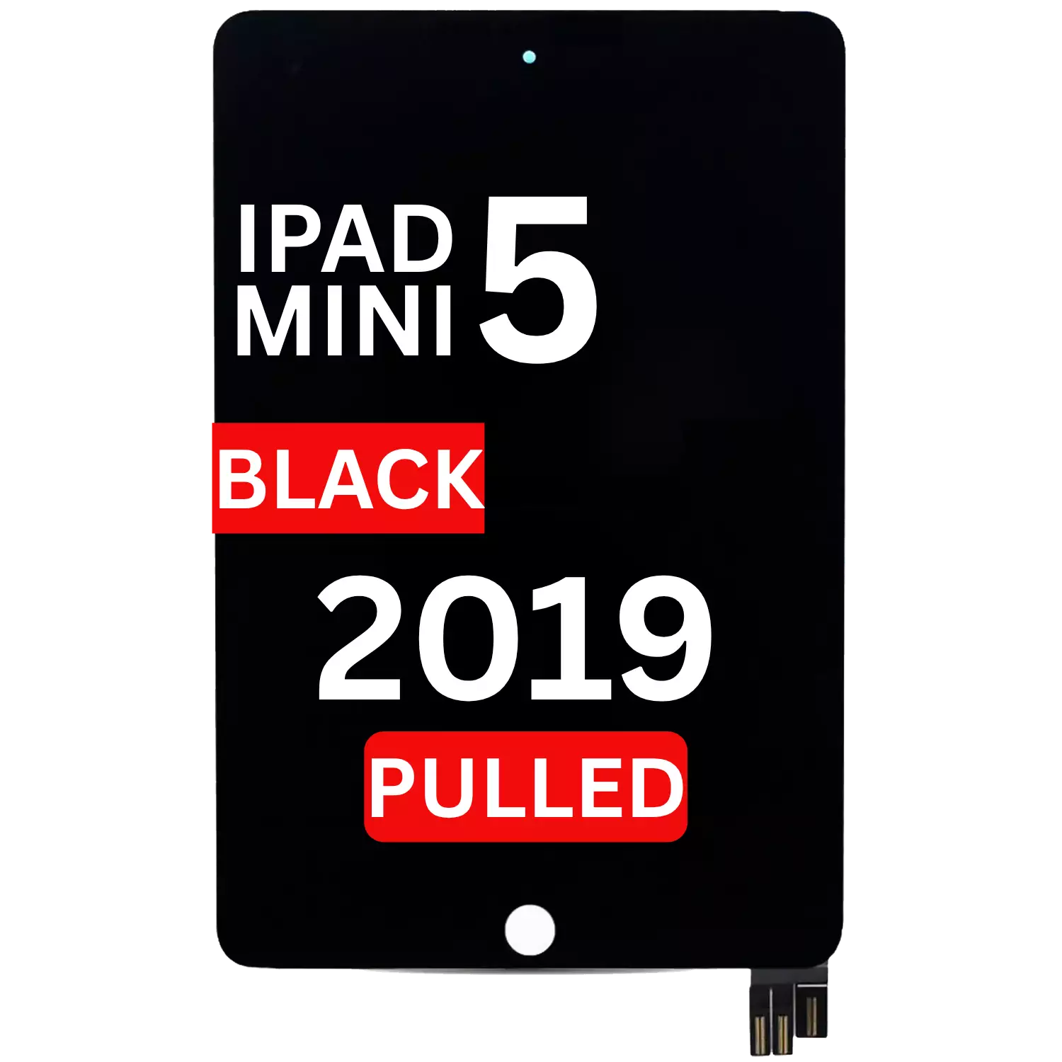 iPad Mini 5 (2019)