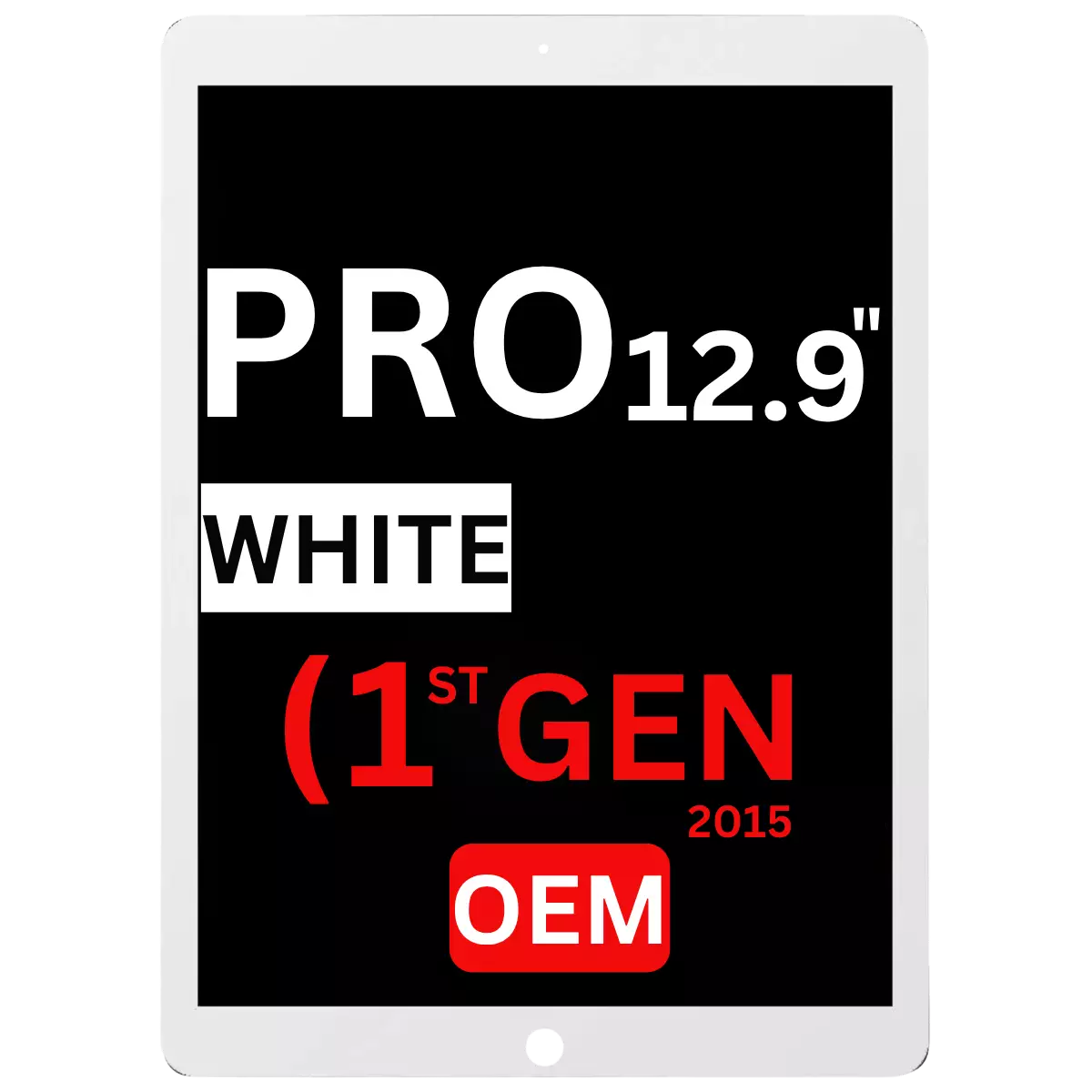 iPad Pro 12.9 (1st Gen)
